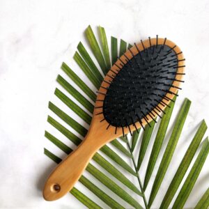 Wooden Paddle Brush (Oval)